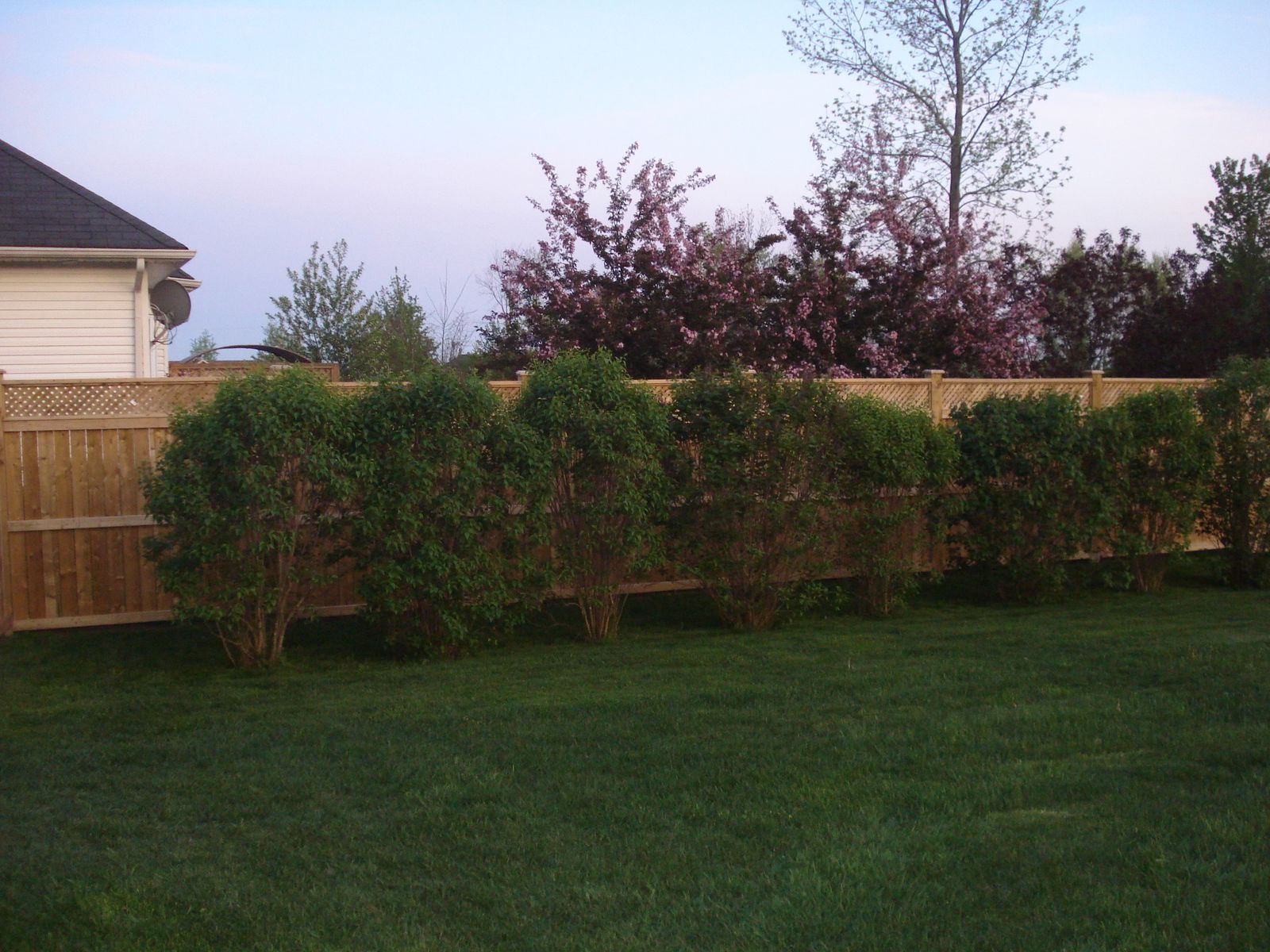 Wood Fencing